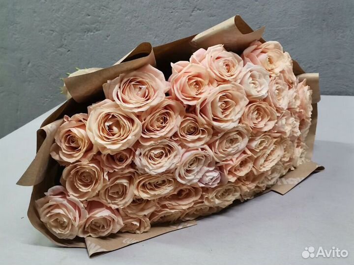 Розы, букет цветов, 101 роза, 51 роза Розы опт