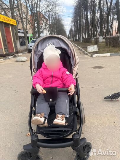 Коляска 2 в 1 эко кожа mr sandman