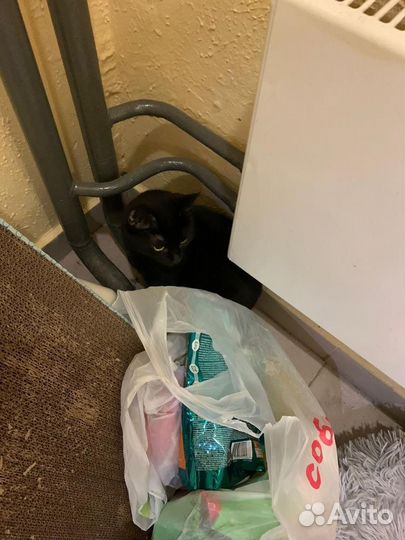 С вещами на выход. Ищу неравнодушных