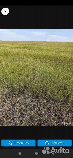 Сено луговое