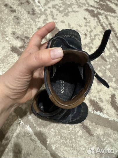 Ботинки демисезонные Ecco на мальчика