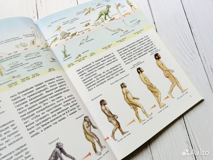 Энциклопедия 