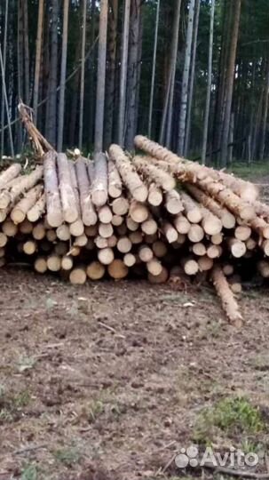 Тонкомер от 12