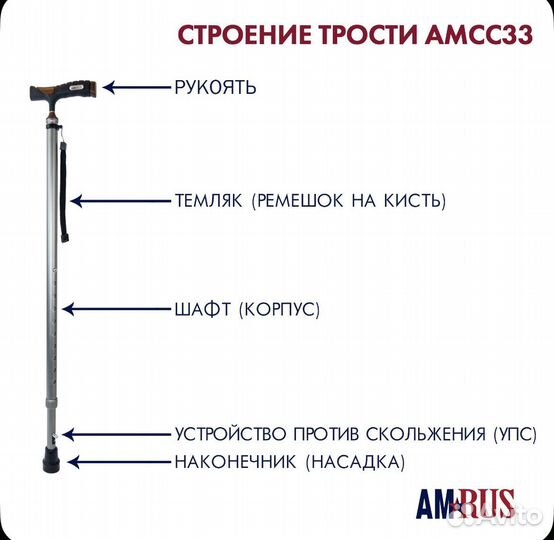 Трость Amrus amcc33 серебрянная