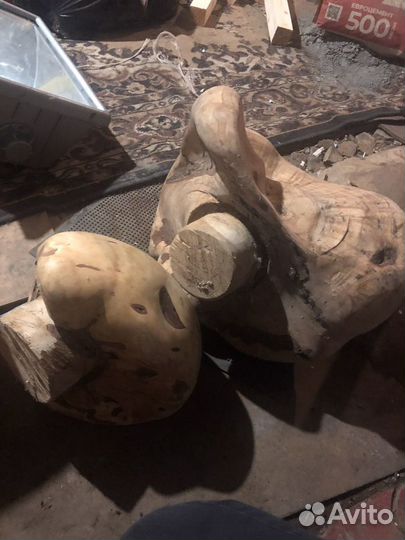 Березовый кап