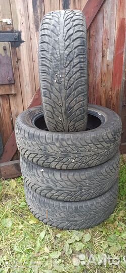 Petlas Glacier W661 205/55 R16