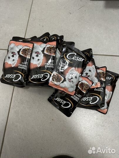 Собачий корм Cesar