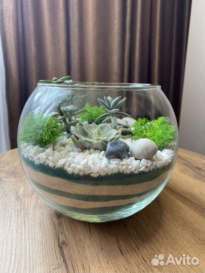 Флорариум в вазе шар