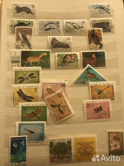 Марка раритет