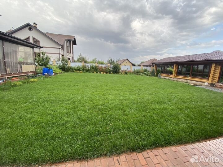 Рулонный газон под ключ