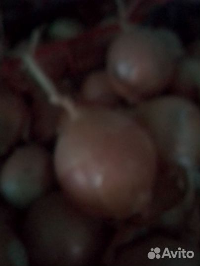 Картофель, хренодёр