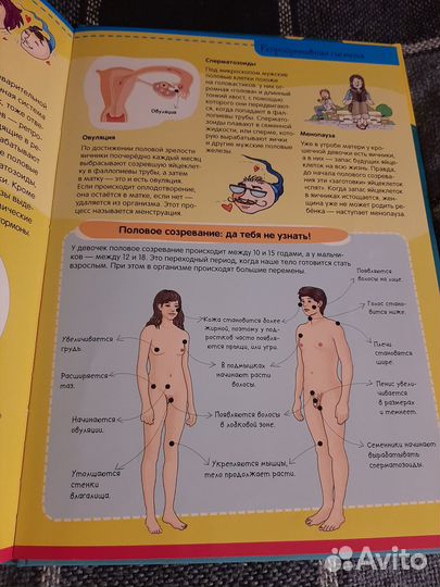 Тело человека. Нескучная анотомия