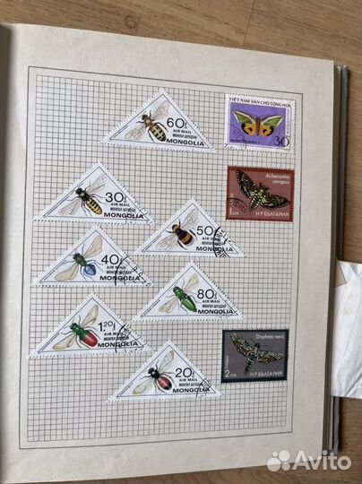 Альбом с марками (жучки, паучки, грибы)