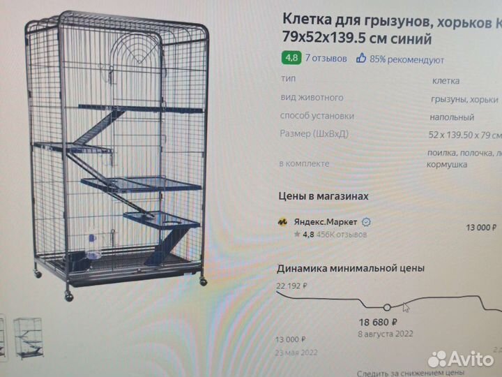 Белка домашняя (выкормыш)