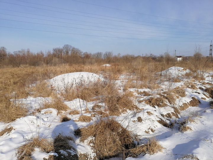 Участок 15 сот. (ИЖС)