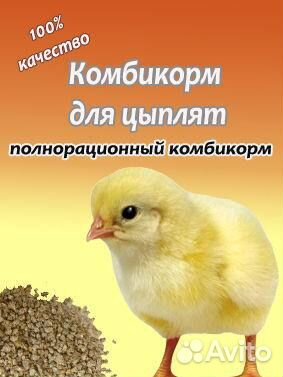 Комбикорм для Цыплят