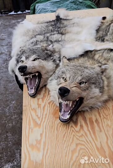 Ковер шкура волка