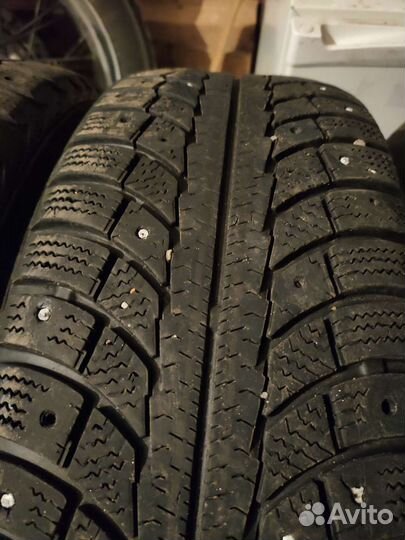 Gislaved Nord Frost 5 195/65 R15