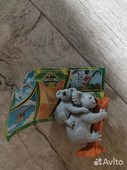 Коала
