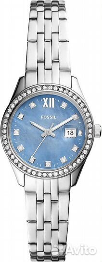 ES5074 Fossil