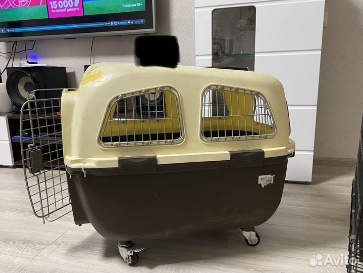Бокс для перевозки собак два вида