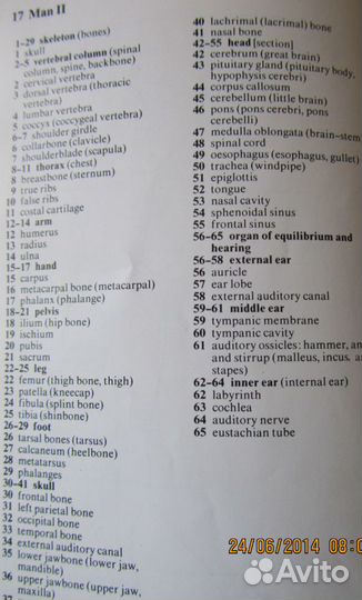 Картинный словарь современного английского языка