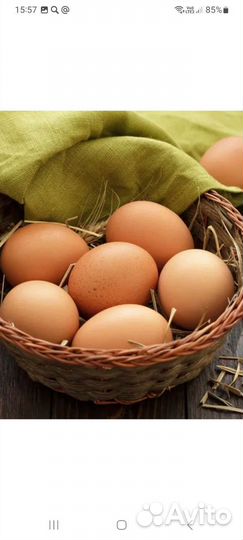 Домашние куриные яйца