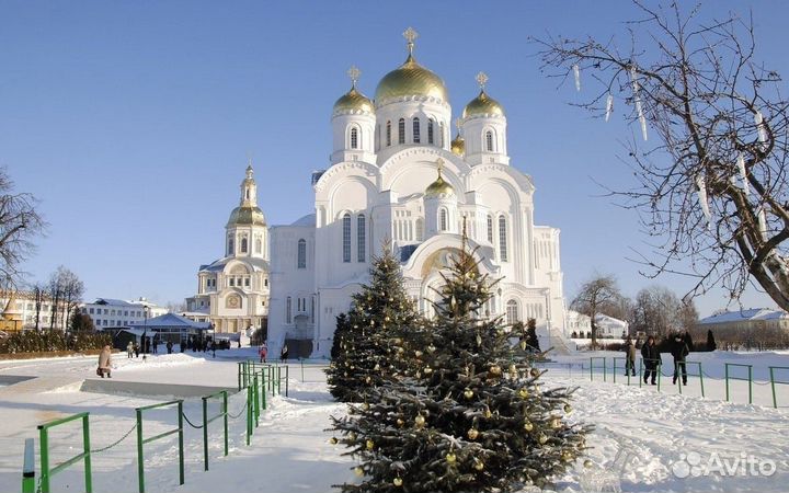 Зимняя поездка в Дивеево (монастырь)