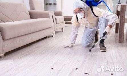 Дезинсекция от тараканов, клопов, блох