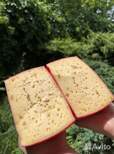 Итальянские сыры буррата, камамбер, кроттен и др