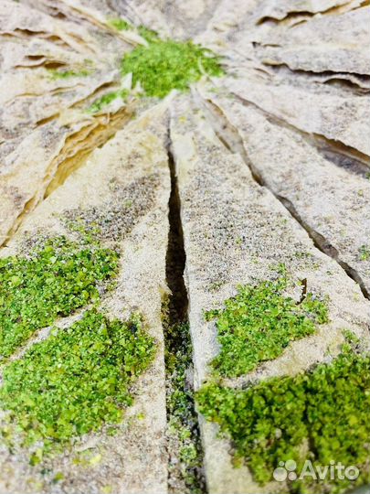 Холодная пахлава с фисташкой