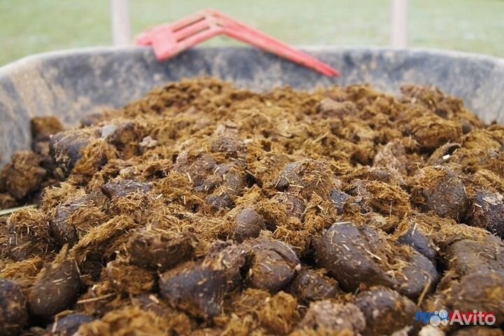 Конский Навоз. Навалом и в мешках. Доставка