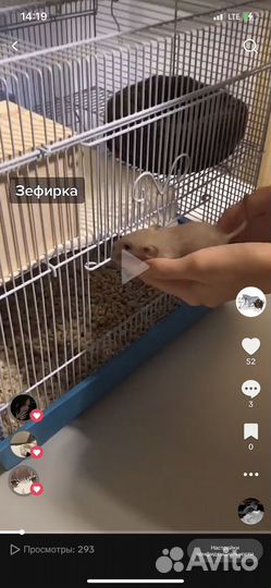 Клетка для грызунов