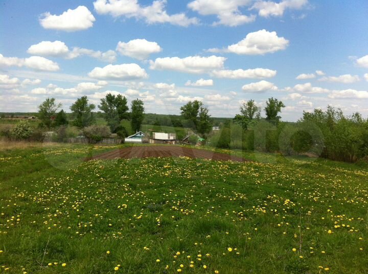 Участок 16 сот. (СНТ, ДНП)