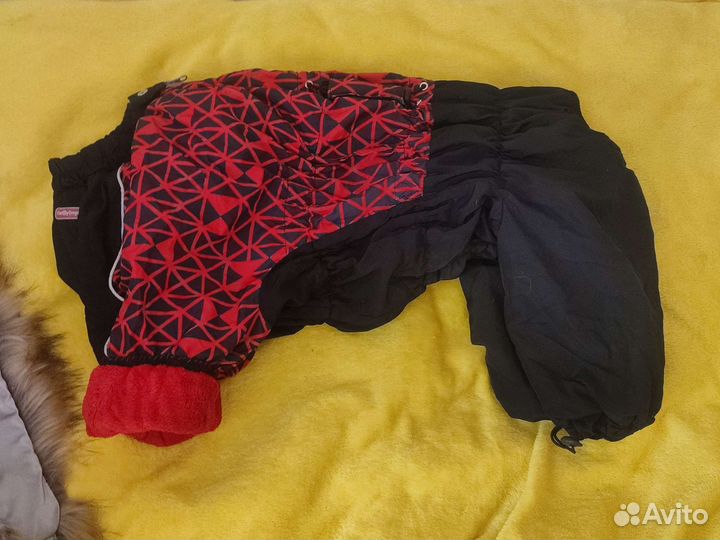 Дождевик для собаки девочки