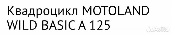 Детский квадроцикл на бензине