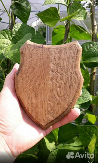 Медальон охотничий (доска), для рогов, трофеев