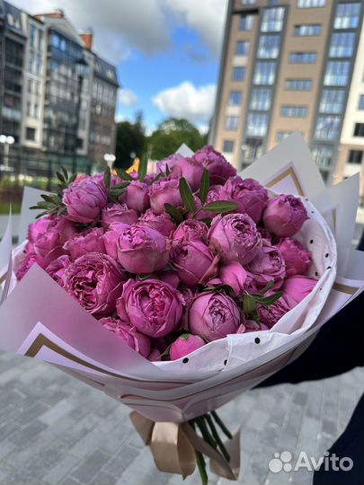 Шикарна пионовидная роза.Доставка