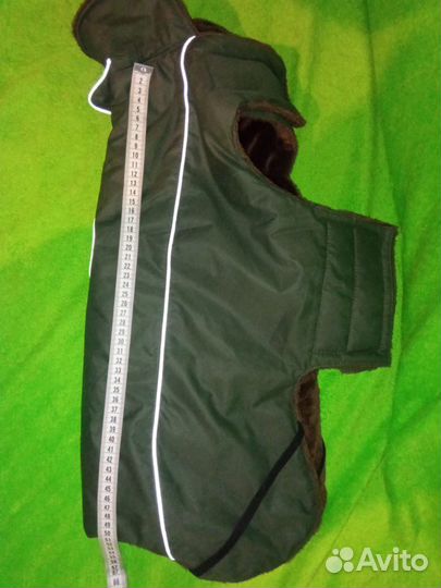 Одежда для собаки