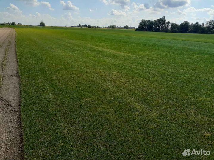 Укладка рулонного газона