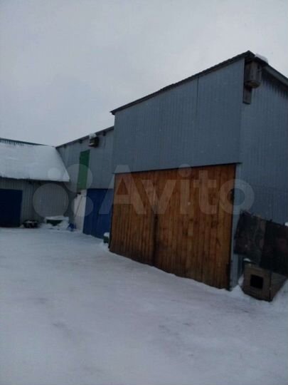 Дом 55 м² на участке 60 сот.