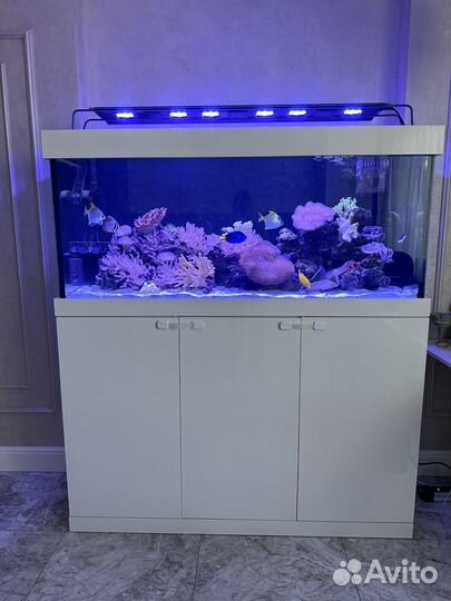 Морской аквариум 400 литров