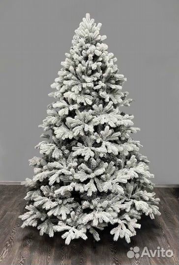 Ель царская