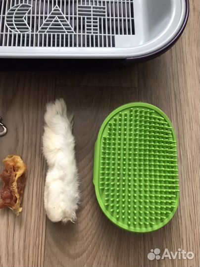 Всё для кота кошки котёнка