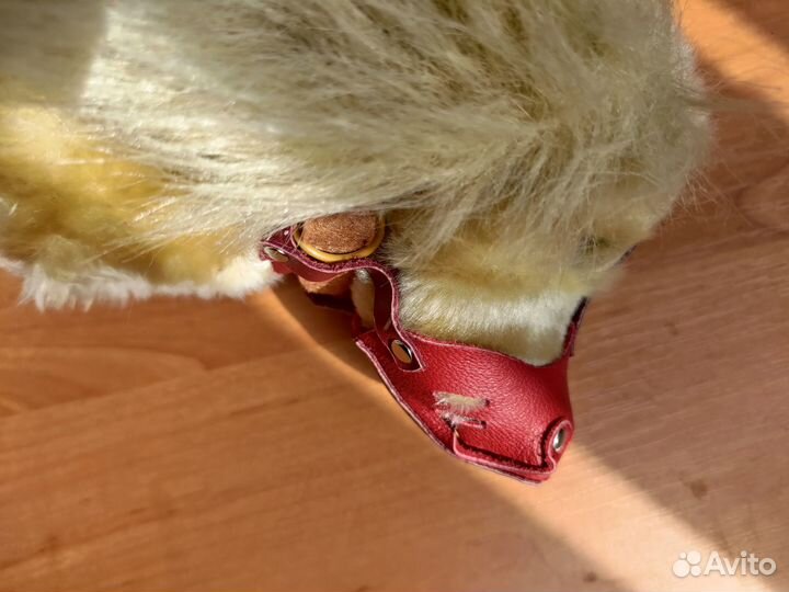 Намордник для маленькой собаки