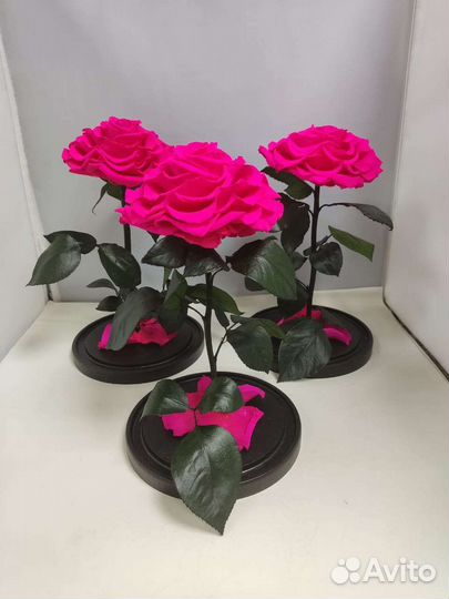 Роза в колбе опт