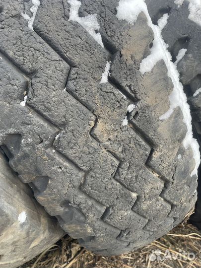 Змейка 12.00r20,4 штуки