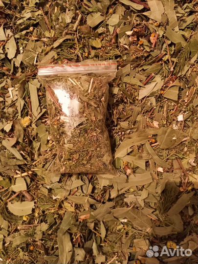 Запарка для бани