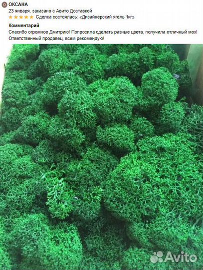 Стабилизированный мох для интерьера,декора стен