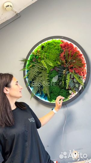 Картина из мха круг с бирюзовым ягелем